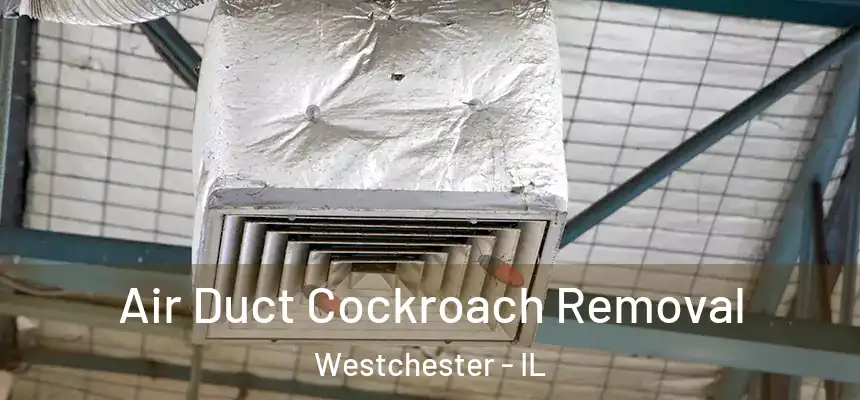  Air Duct Cockroach Removal Westchester - IL