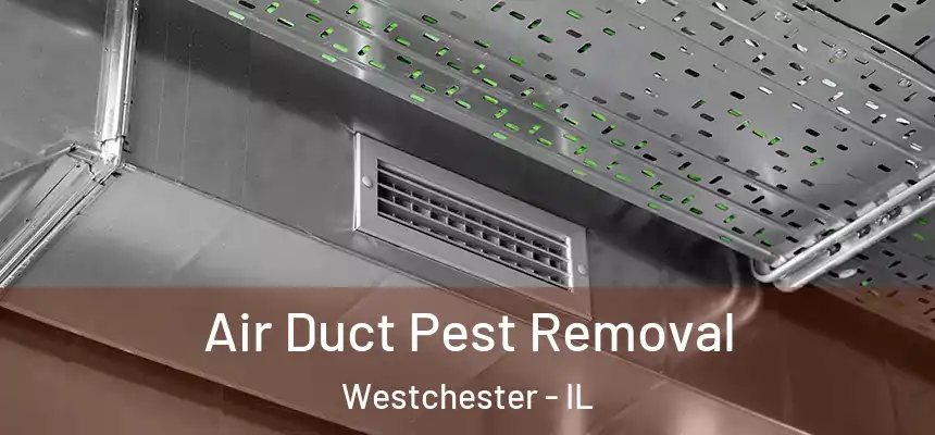 Air Duct Pest Removal Westchester - IL