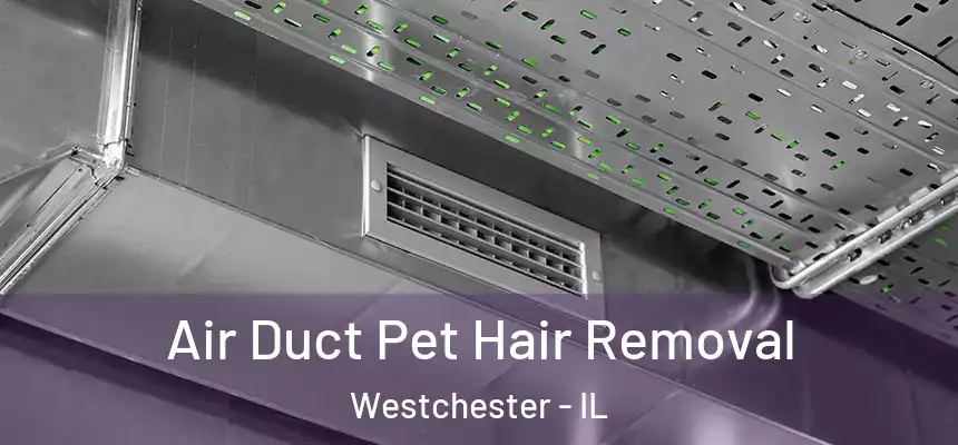 Air Duct Pet Hair Removal Westchester - IL