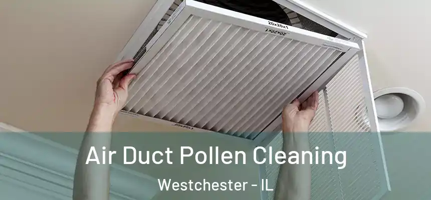 Air Duct Pollen Cleaning Westchester - IL