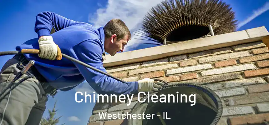 Chimney Cleaning Westchester - IL