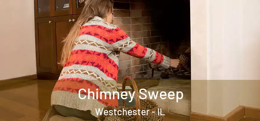 Chimney Sweep Westchester - IL
