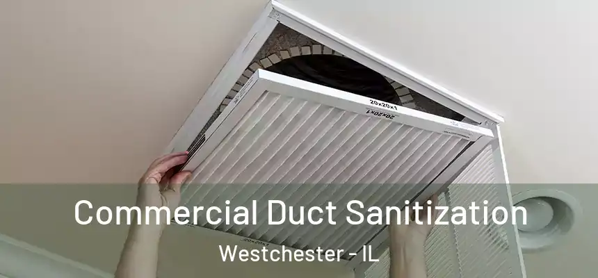  Commercial Duct Sanitization Westchester - IL