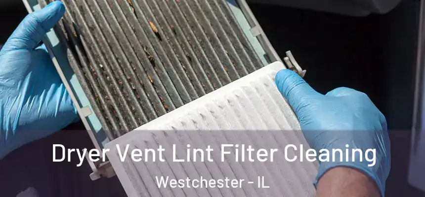  Dryer Vent Lint Filter Cleaning Westchester - IL