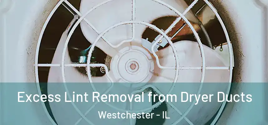 Excess Lint Removal from Dryer Ducts Westchester - IL