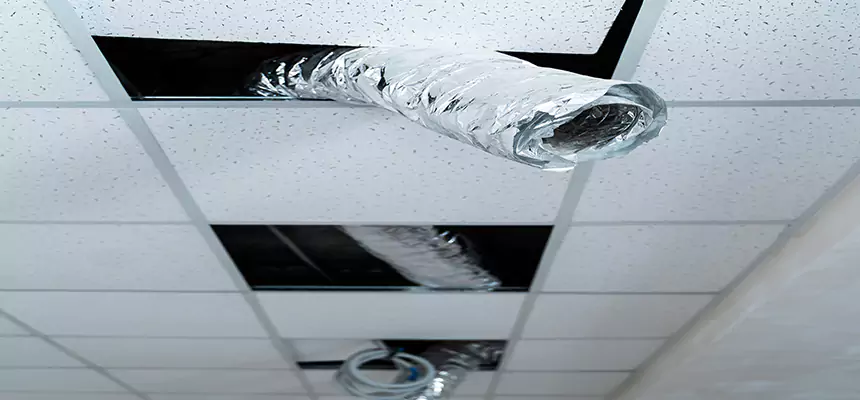 Our Air Duct Pet Hair Removal Services in Westchester, IL