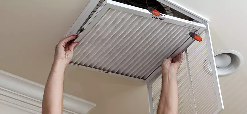 Our Insect Removal from Air Ducts Services in Westchester, IL