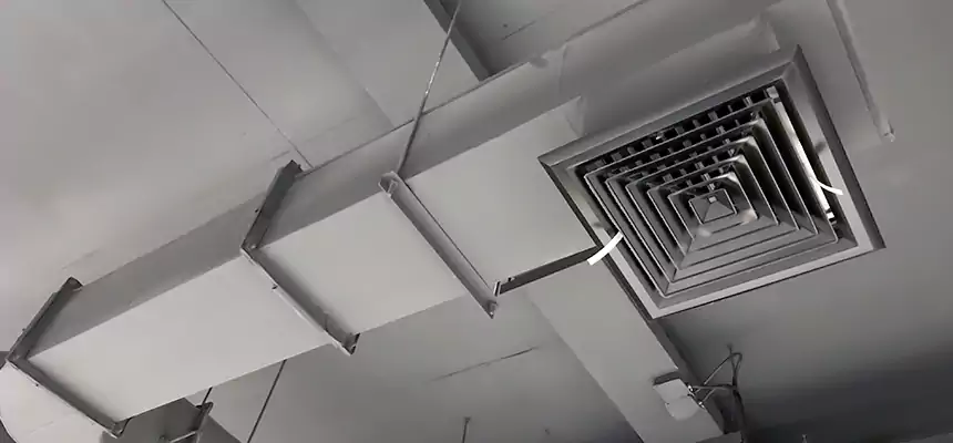 Our Pest Removal From Ducts Services in Westchester, IL