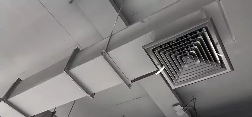 Our Rodent Droppings In Vents Services in Westchester, IL