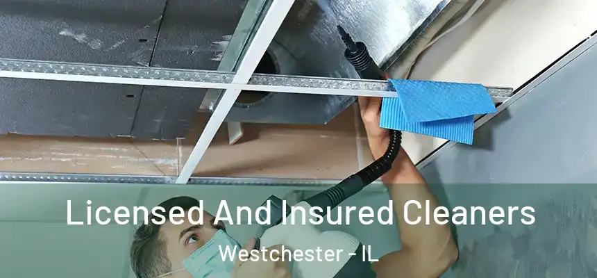  Licensed And Insured Cleaners Westchester - IL