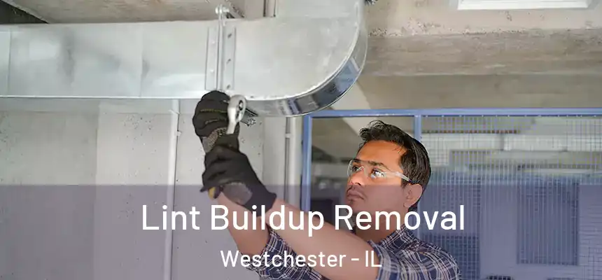  Lint Buildup Removal Westchester - IL