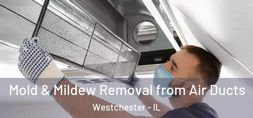 Mold & Mildew Removal from Air Ducts Westchester - IL