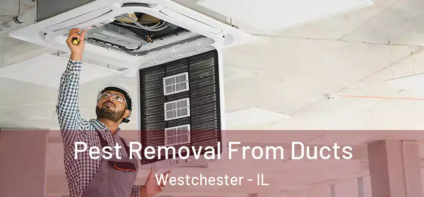  Pest Removal From Ducts Westchester - IL