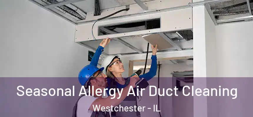 Seasonal Allergy Air Duct Cleaning Westchester - IL