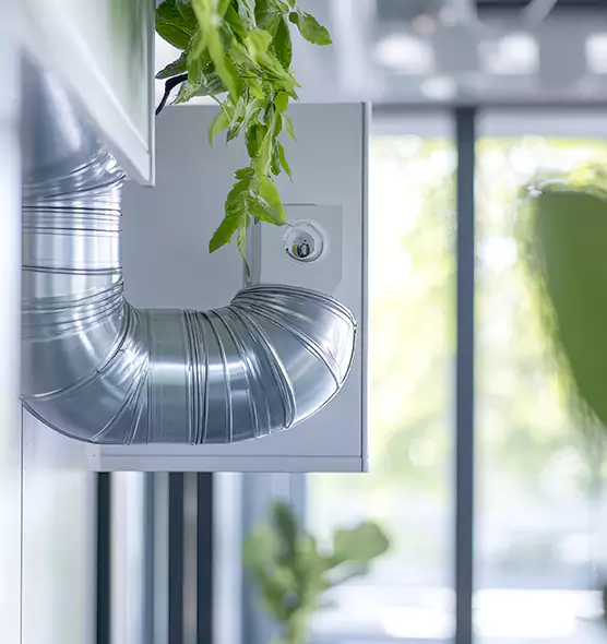 Professional Eco-Friendly Duct Cleaning Services in Westchester, IL