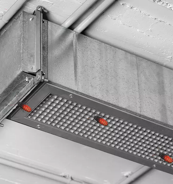 Affordable Insect Removal from Air Ducts in Westchester, IL