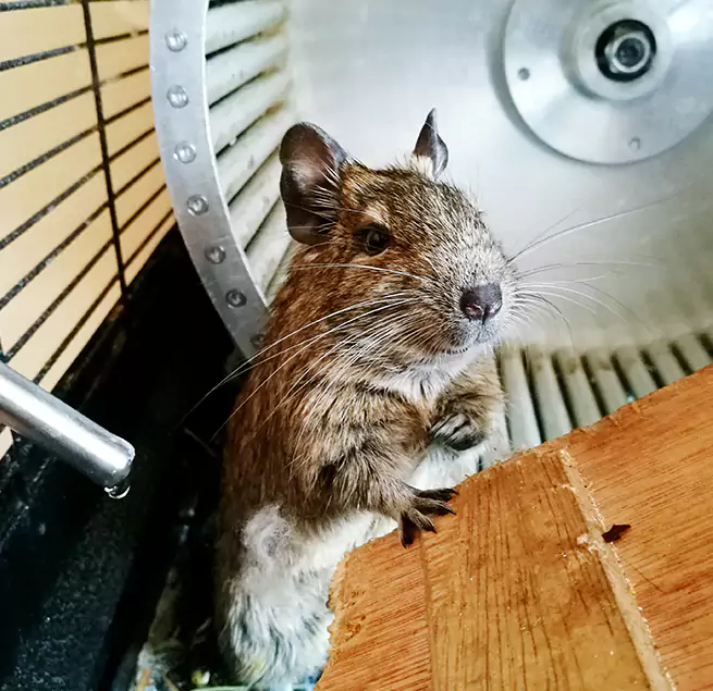 Why Homeowners & Businesses Trust Us Westchester, IL