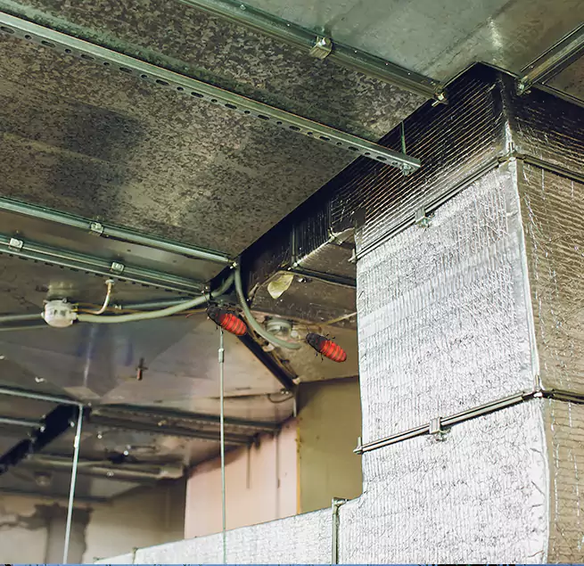 Why Homeowners & Businesses Trust Us Westchester, IL?