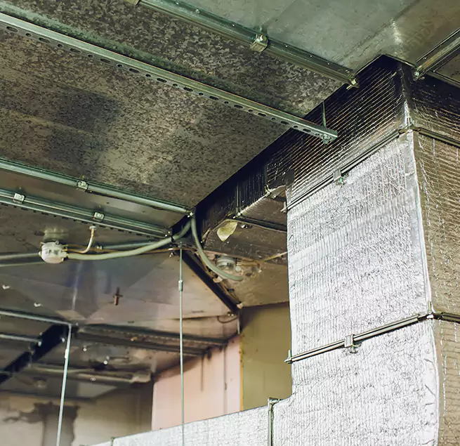 Why Homeowners & Businesses Trust Us in Westchester, IL?